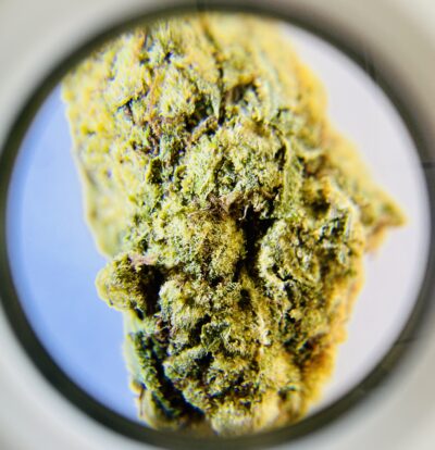 Caribbean Trance - Indica Dominant 1/4 oz - Image 2