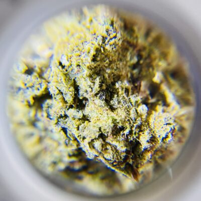Caribbean Trance - Indica Dominant 1/4 oz