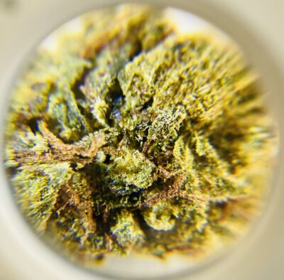 Rainbow Runtz - Indica 1/4 oz - Image 4