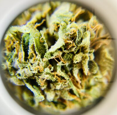 Dora the Explorer - Indica Dominant 1/4 oz - Image 3