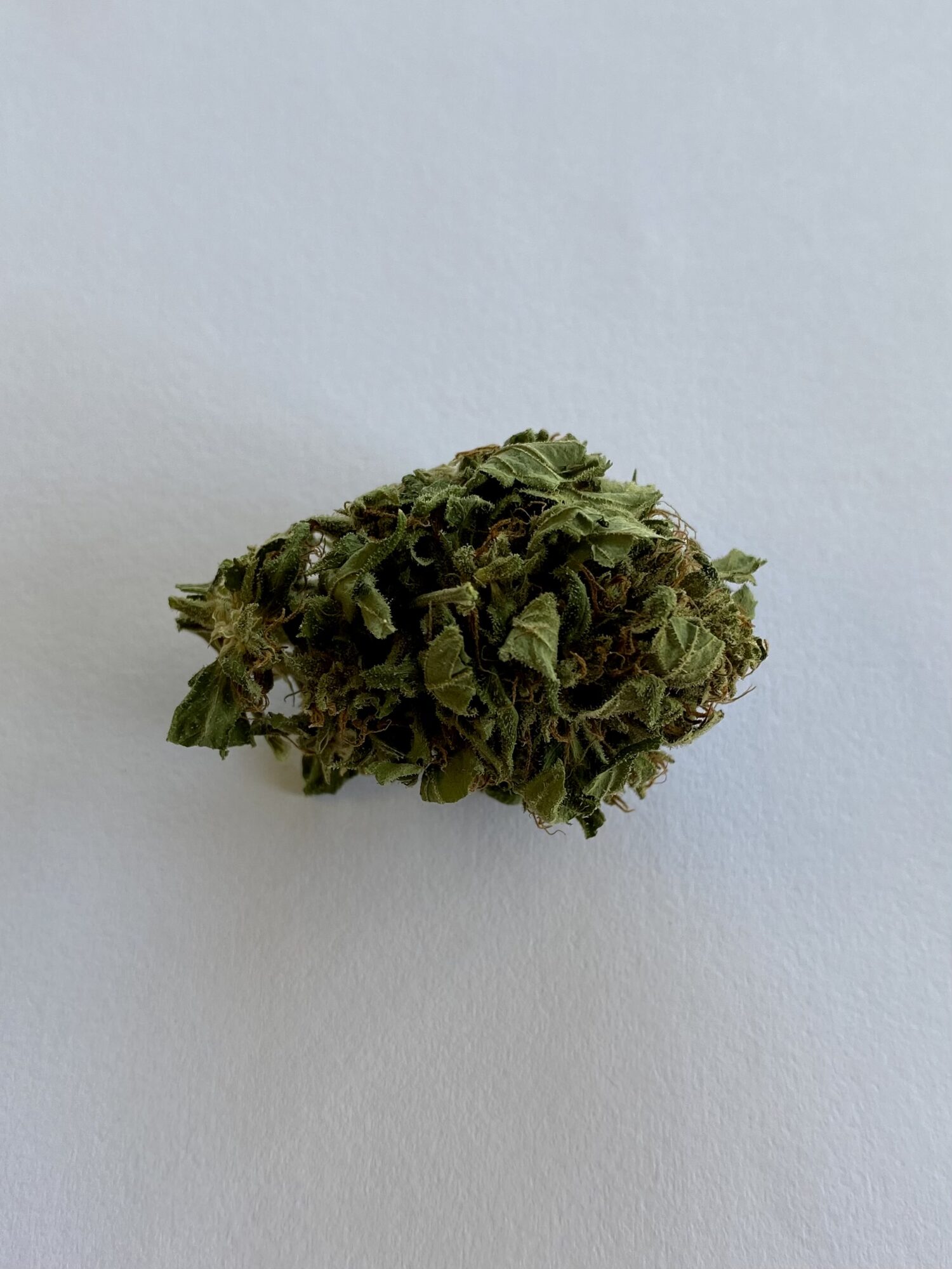 High Standard - Hybrid 1/4 oz - Image 3