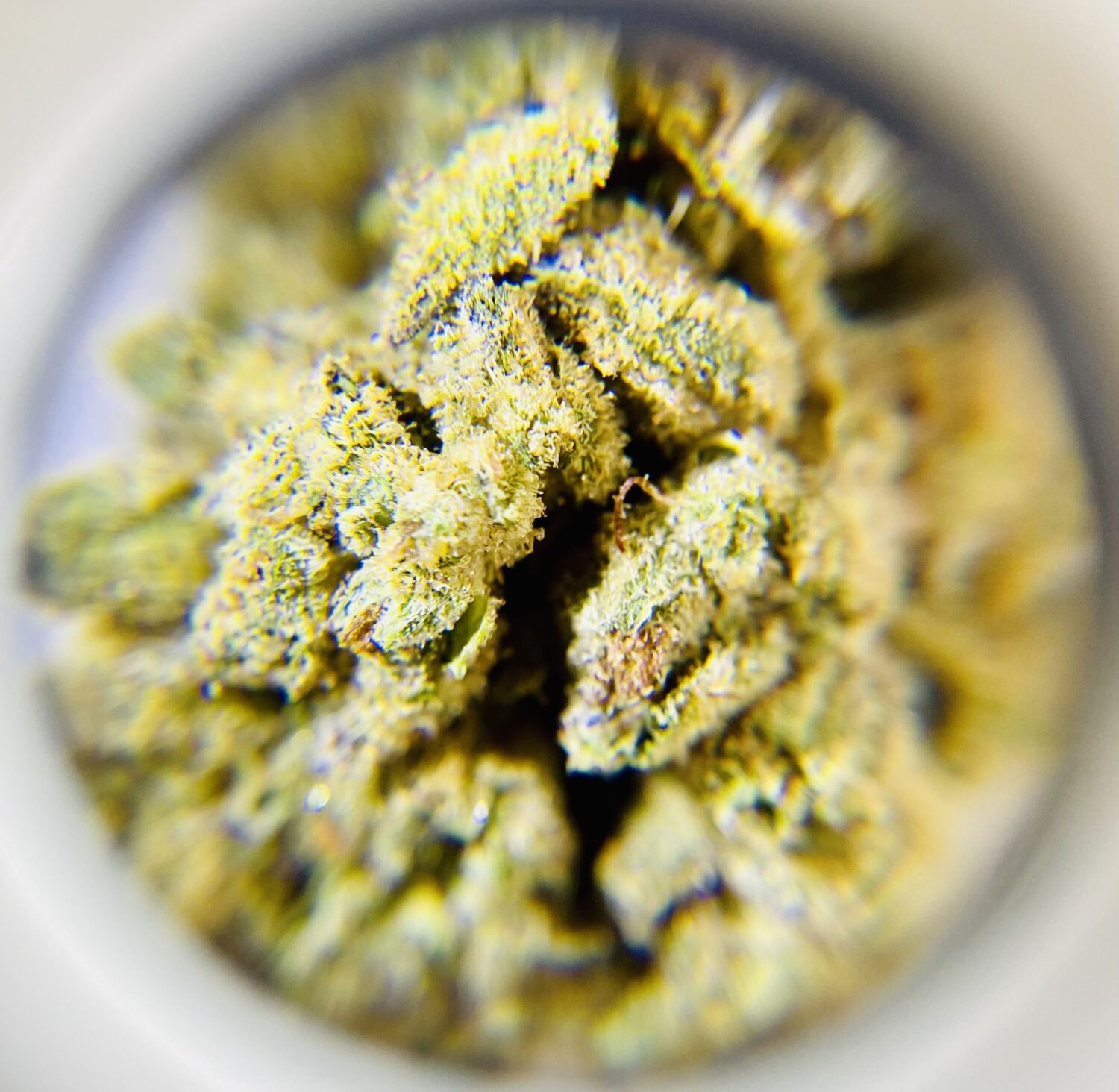 Birthday Party - Indica Dominant 1/4 oz - Image 2