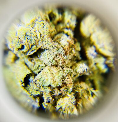 Birthday Party - Indica Dominant 1/4 oz