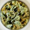 Dora the Explorer – Indica Dominant 1/4 oz
