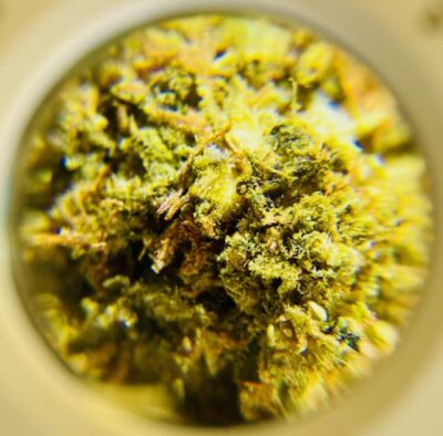 Gorilla Biscuit - Indica 1/4 oz - Image 2