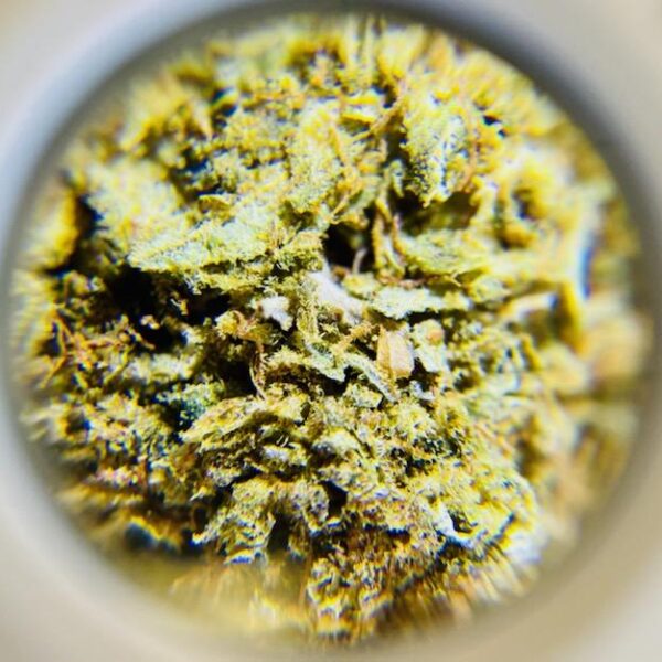 Gorilla Biscuit - Indica 1/4 oz