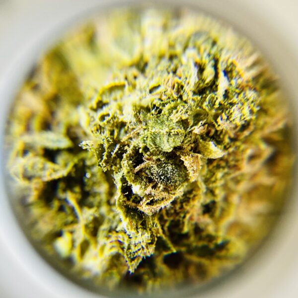 Pinball Wizard - Sativa Dominant 1/4 oz