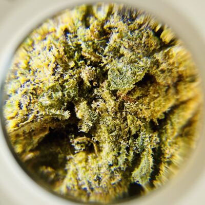 Mimosa - Hybrid 1/4 oz - Image 2