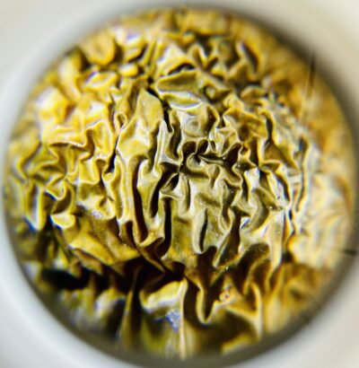 Steel Magnolia Cubensis 3.5 g - Image 2