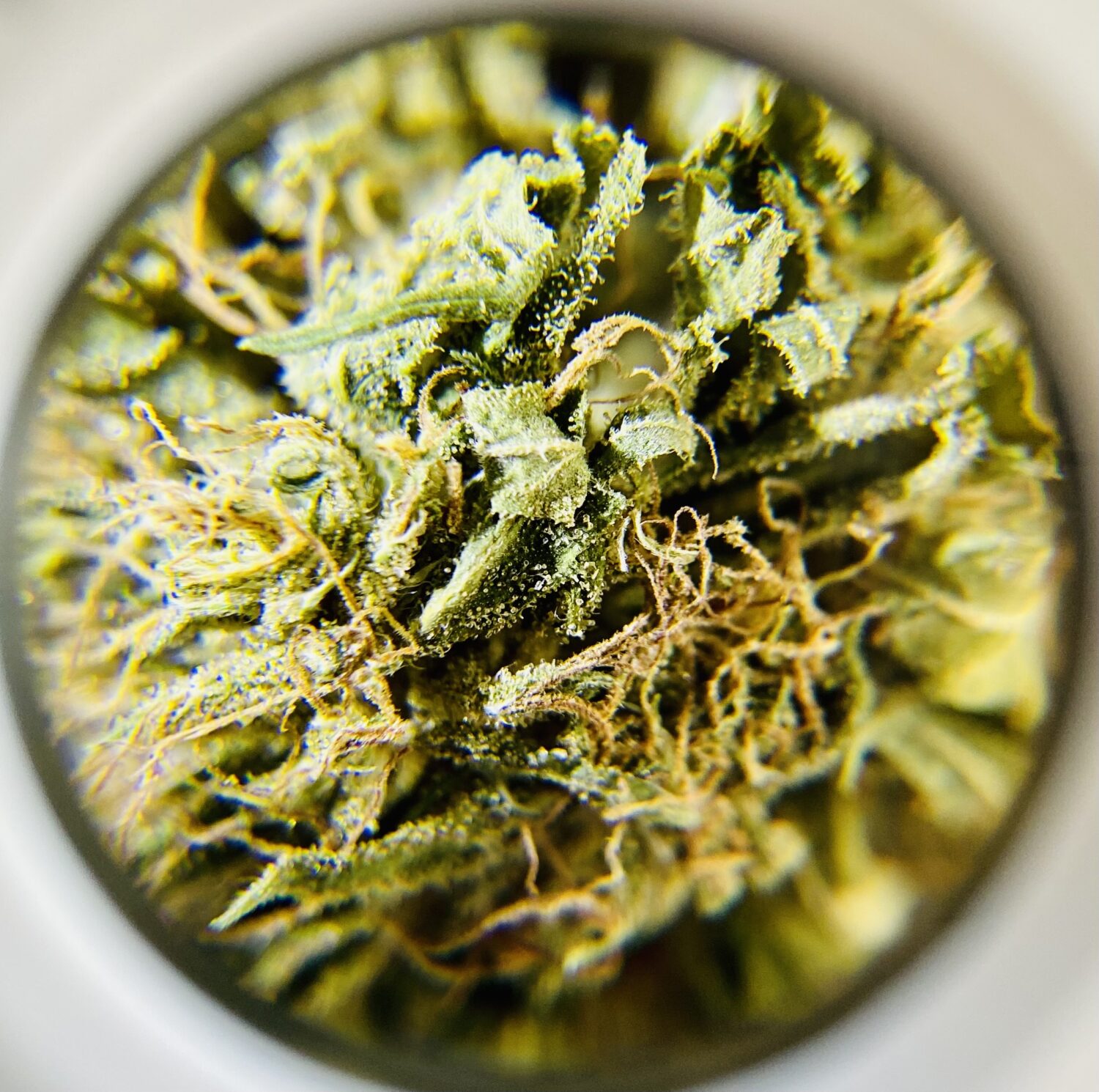 Smyles - Hybrid 1/4 oz - Image 4