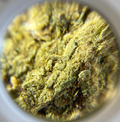 Caribbean Spice - Hybrid 1/4 oz