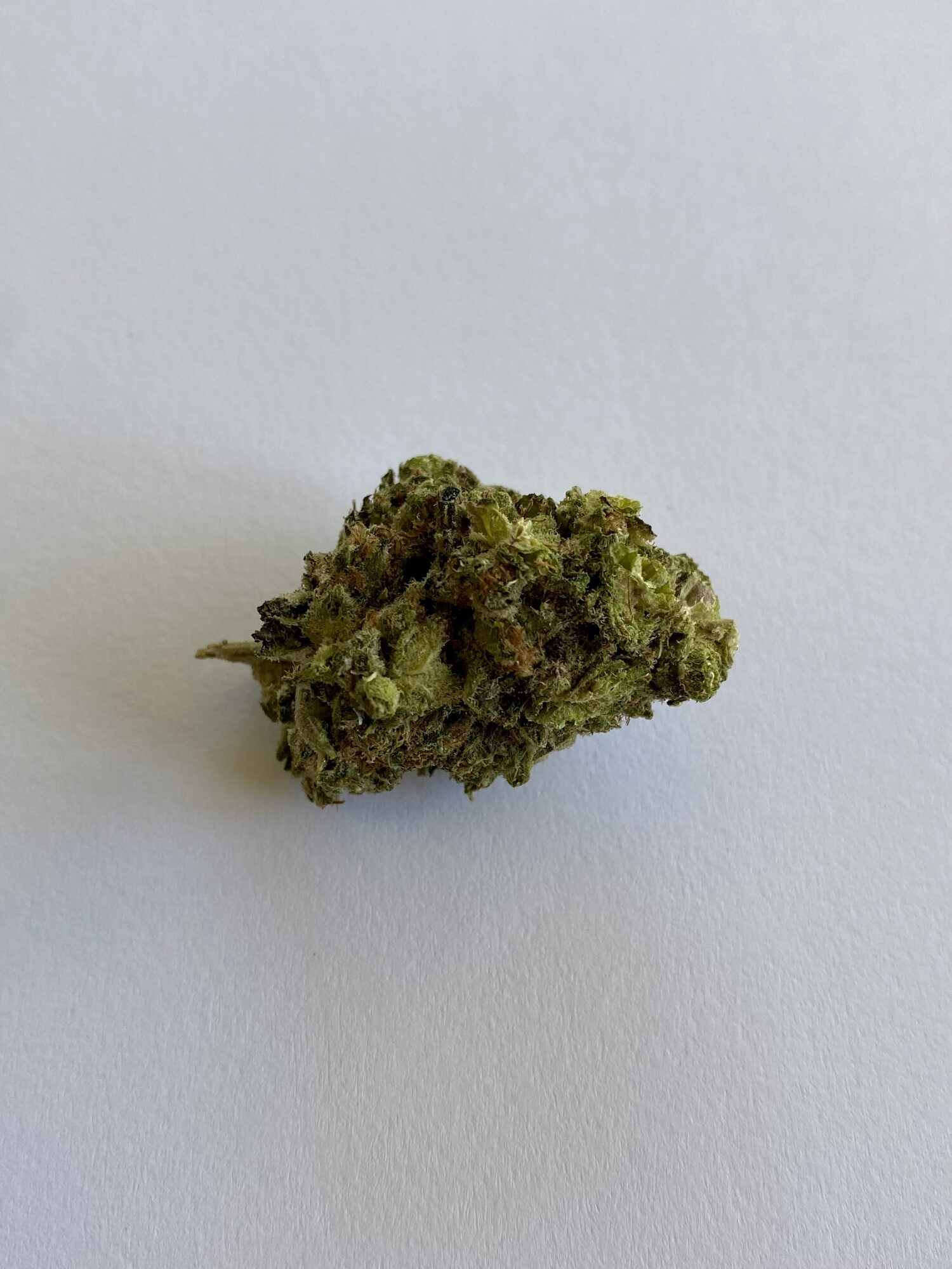 Fruit Fetti Cake - Hybrid 1/4 oz - Image 2