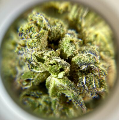 Fruit Fetti Cake - Hybrid 1/4 oz - Image 3