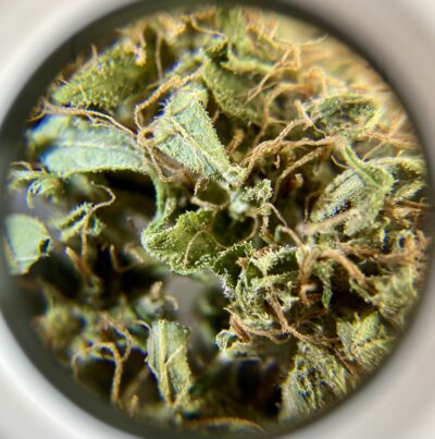 One Hit Wonder - Hybrid 1/4 oz