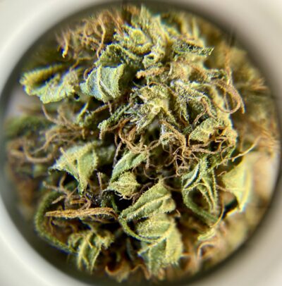One Hit Wonder - Hybrid 1/4 oz - Image 2