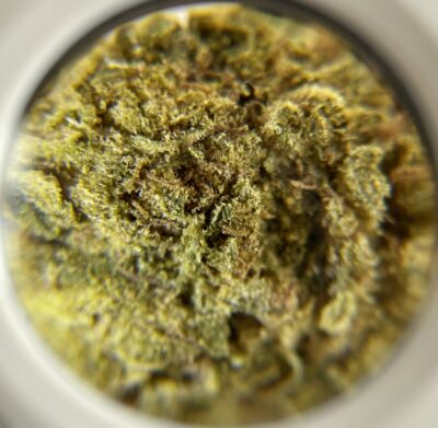 Blue Dough -  Hybrid 1/4 oz - Image 3