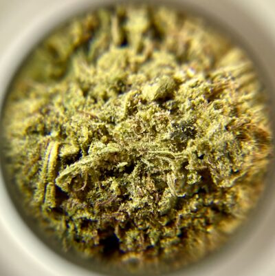 Blue Dough -  Hybrid 1/4 oz