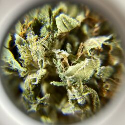 Sweedy - Hybrid 1/4 oz