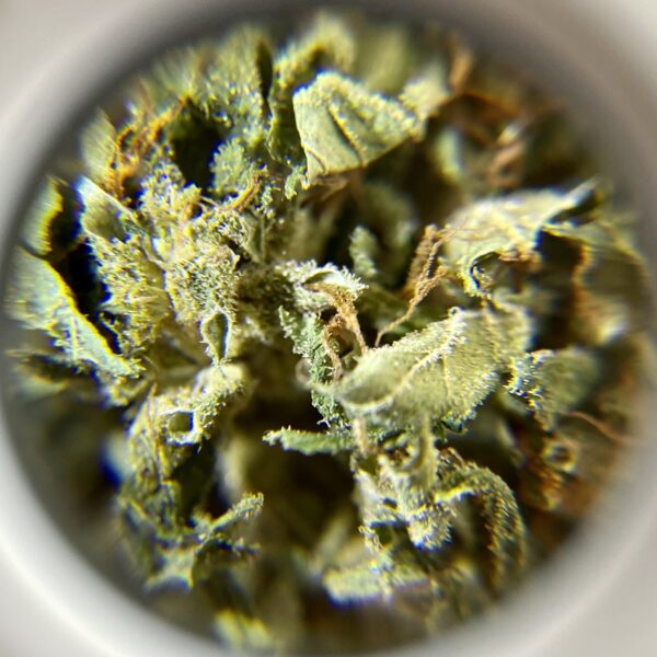 Sweedy - Hybrid 1/4 oz