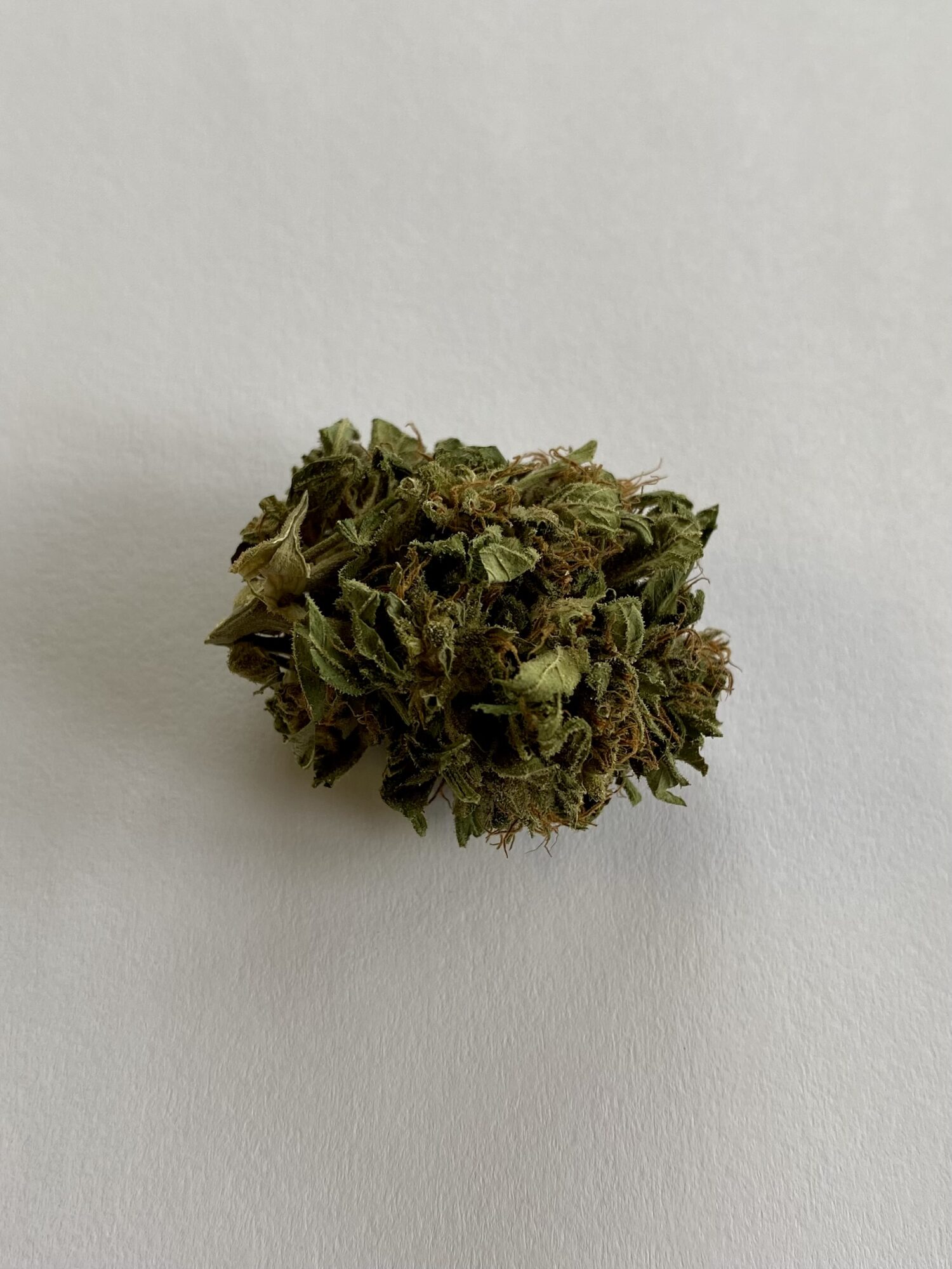 Sweedy - Hybrid 1/4 oz - Image 2
