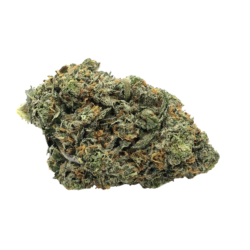 7g - Ice Cream Mintz - Hybrid