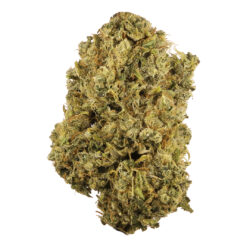 28g - Durban Poison - Sativa