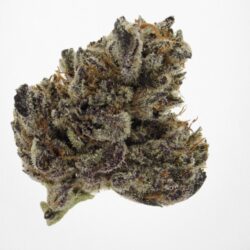 7g -  Black Cherry Soda *Oregon Grown*  (Sativa)