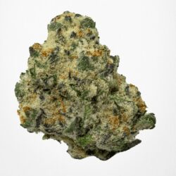 7g - Applegate OG *Oregon Grown* - Hybrid