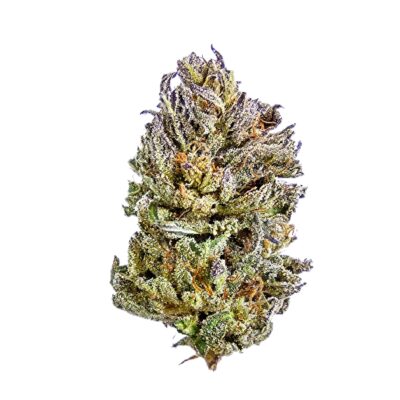 HIGHEST THC - GMO Cookies - Indica 1/4 oz