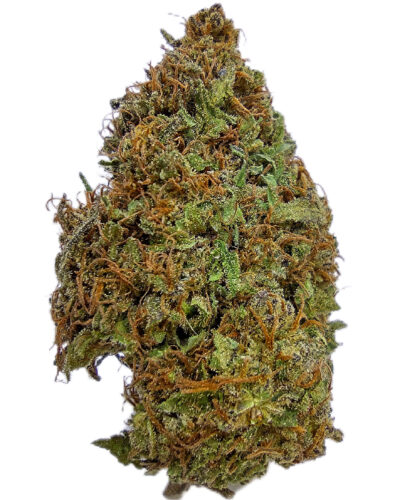 7g - Crumptonite - Hybrid