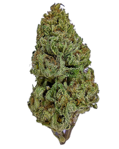 28g - Zamal Resurgence - Sativa