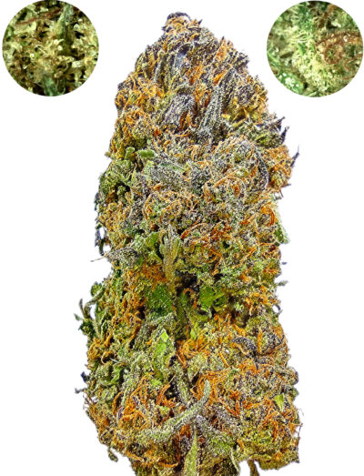 Flying Phoenix - Hybrid 1/4 oz