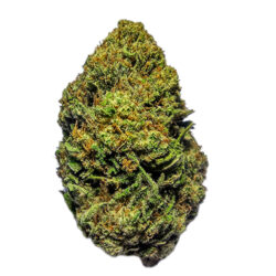 7g - Visions of Liberty - Sativa