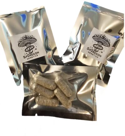3g - Chocolate Krinkle Brainz *SpOregon Genetics* 10 pk capsules