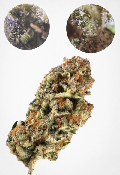7g - Boss OG - Light Dep  *Oregon Grown* (Hybrid)