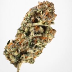 7g - Boss OG - Light Dep  *Oregon Grown* - Hybrid