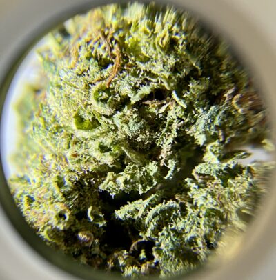 Jackers OG - Sativa Dominant 1/4 oz - Image 2