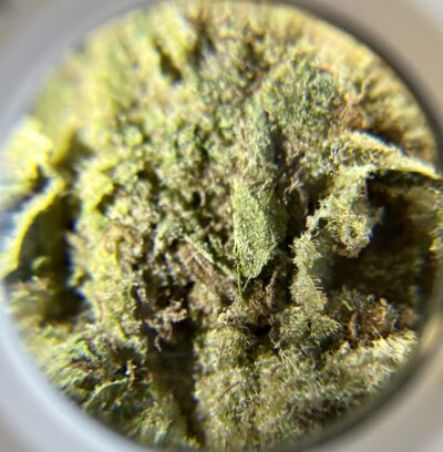Tropical Cherry - Hybrid 1/4 oz - Image 3