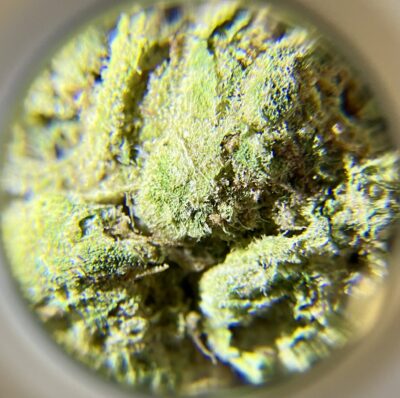 Oasis OG Kush - Sativa Dominant 1/4 oz