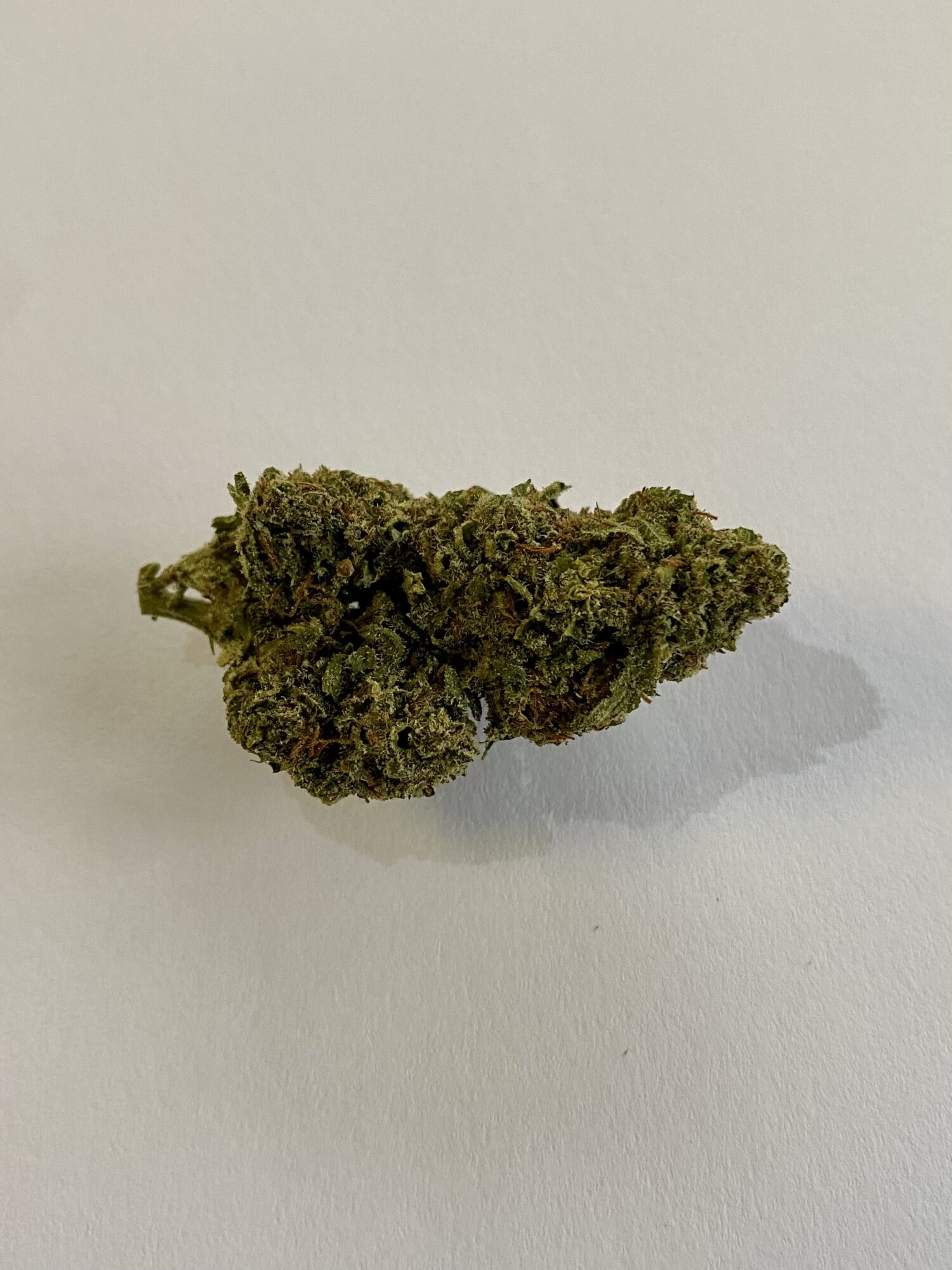 Jackers OG - Sativa Dominant 1/4 oz - Image 3