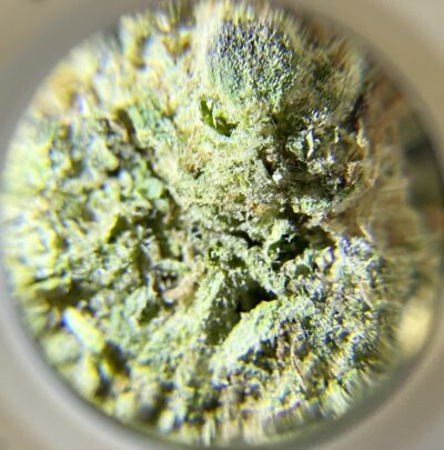Oasis OG Kush - Sativa Dominant 1/4 oz - Image 4