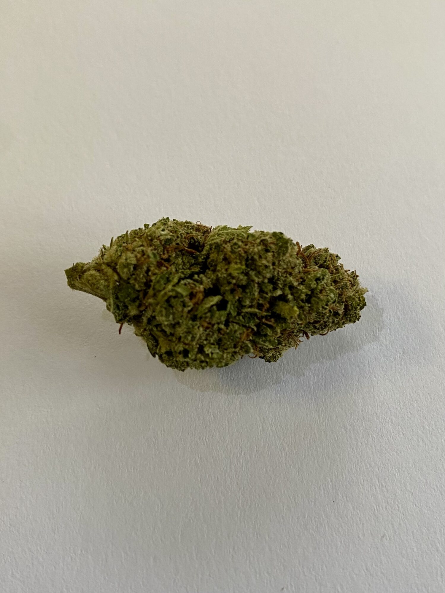 Jackers OG - Sativa Dominant 1/4 oz - Image 4
