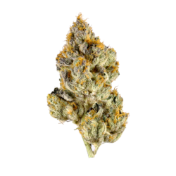 14g - Lemon Cherry Gelato – Exotic Flower (Hybrid)