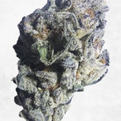 14g - B-budz *Oregon Grown* (small buds) *PJ Pants
