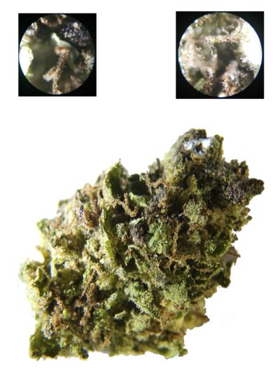 28g - B-budz *Oregon Grown* Barry White