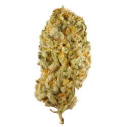 28g - Jack Herer - Sativa/Hybrid