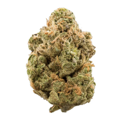 28g - BLUE BISCOTTI – Exotic Flower (Hybrid)