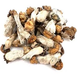 Albino Riptide Mushrooms 3.5g