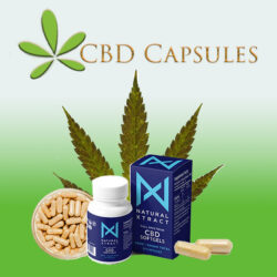 CBD Capsules