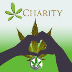 Charity